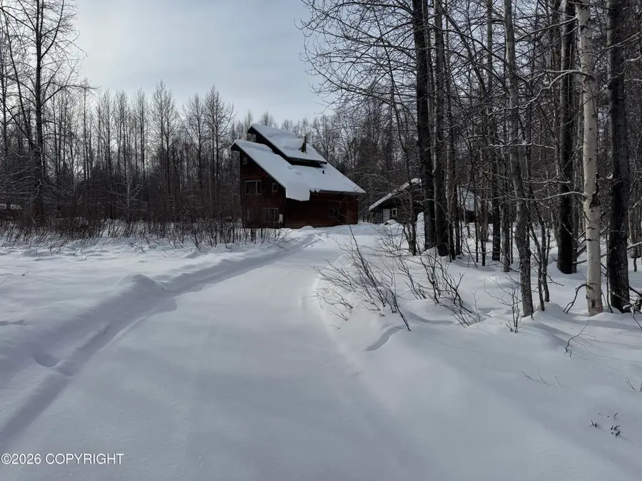 14128 E Lichtenwalner Road, Talkeetna, AK 99676 - #2