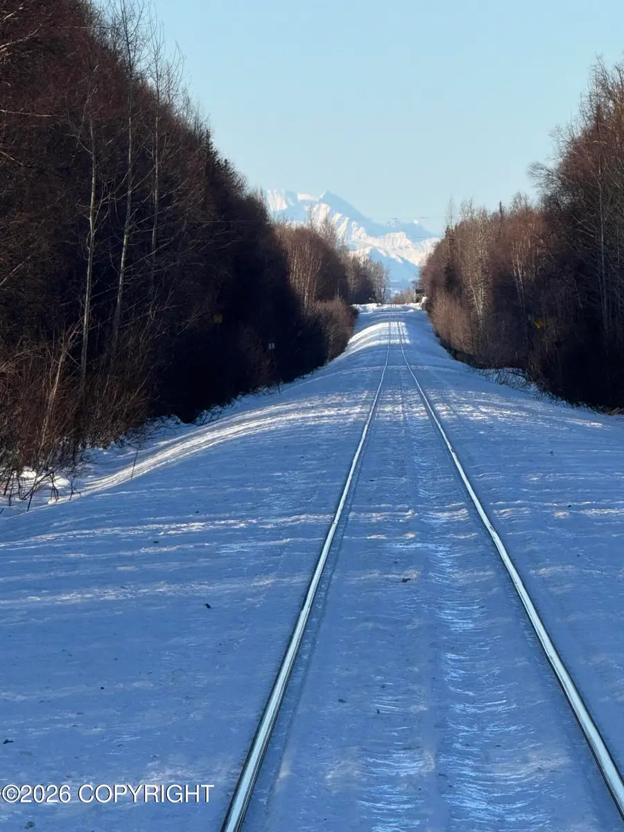 14128 E Lichtenwalner Road, Talkeetna, AK 99676 - #3