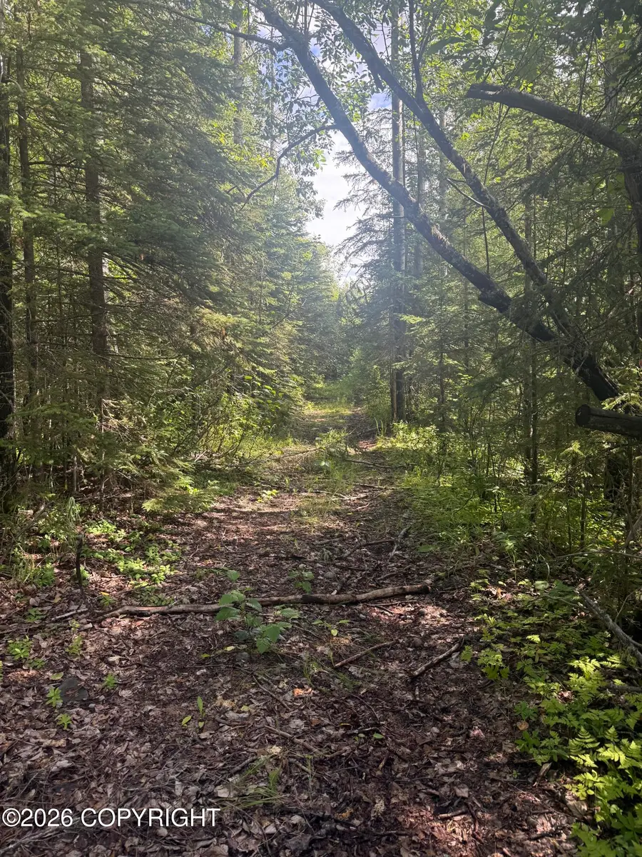 6777 W Russ Drive, Wasilla, AK 99654 - #3