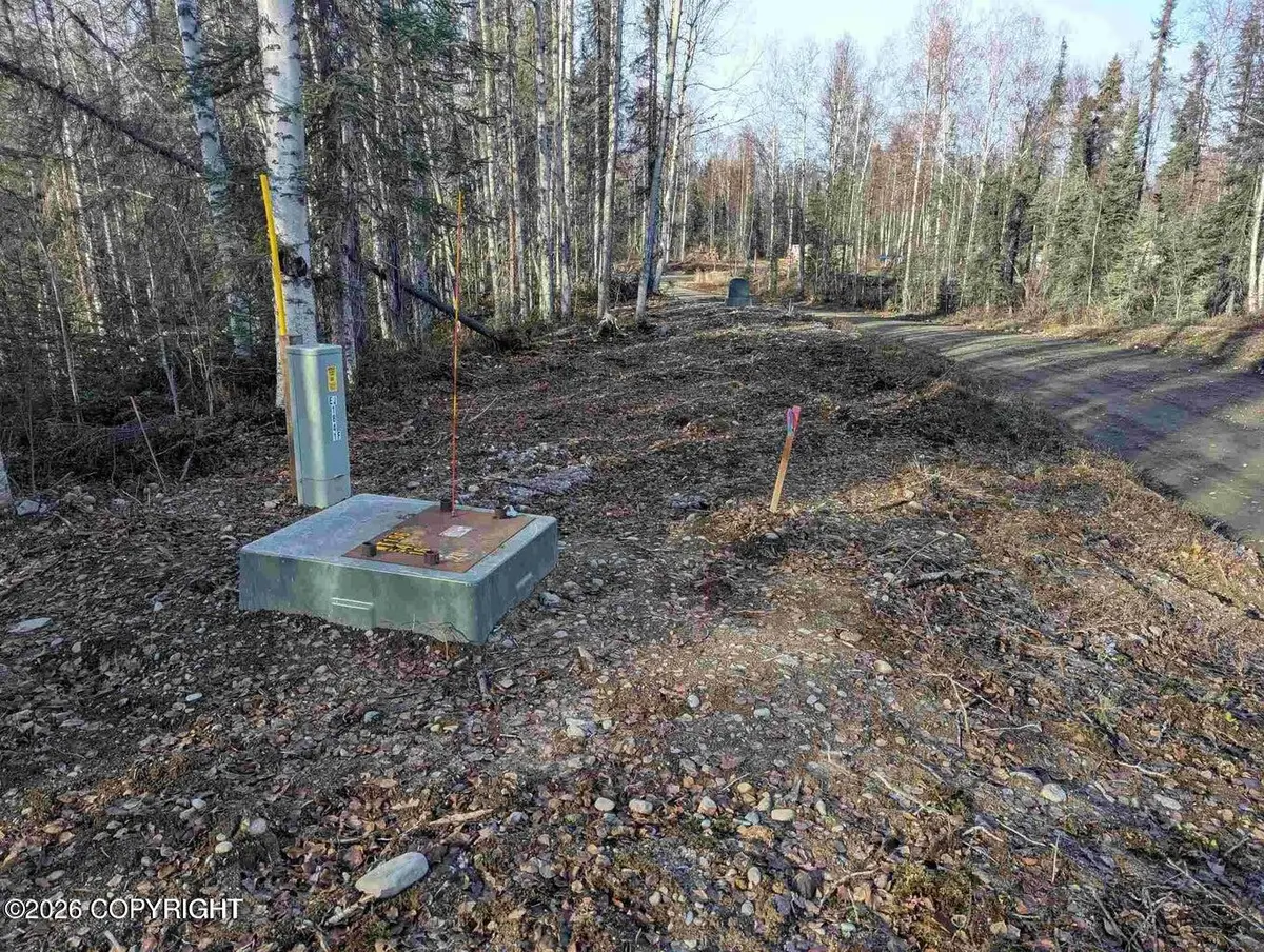 51030 S Caswell Creek Drive, Willow, AK 99688 - #1
