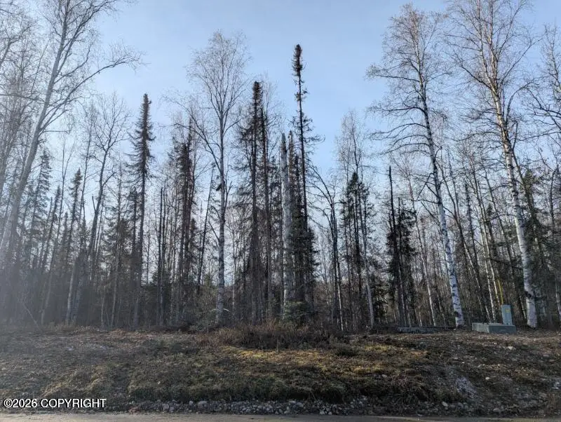 51030 S Caswell Creek Drive, Willow, AK 99688 - #3