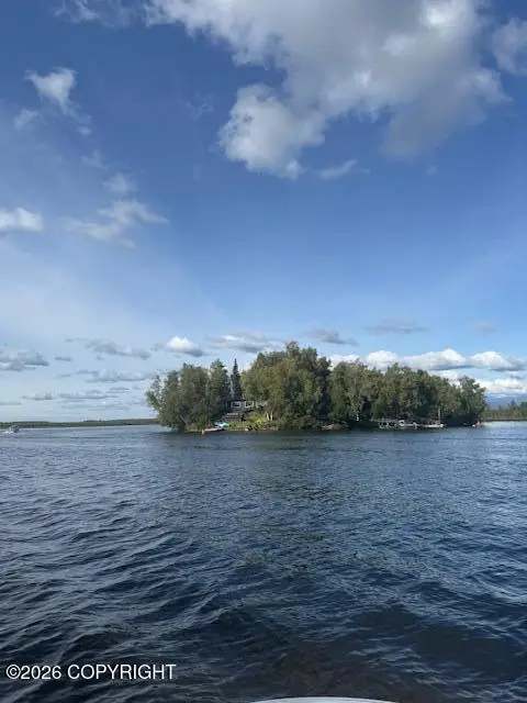 C007 No Road Purdy Point, Big Lake, AK 99652 - #2