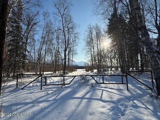 15270 E Peacefull Lane, Palmer, AK 99645 - #2