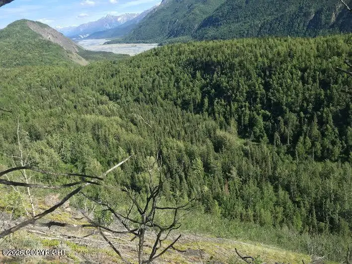 51900 W Glenn Highway, Chickaloon, AK 99674 - #2