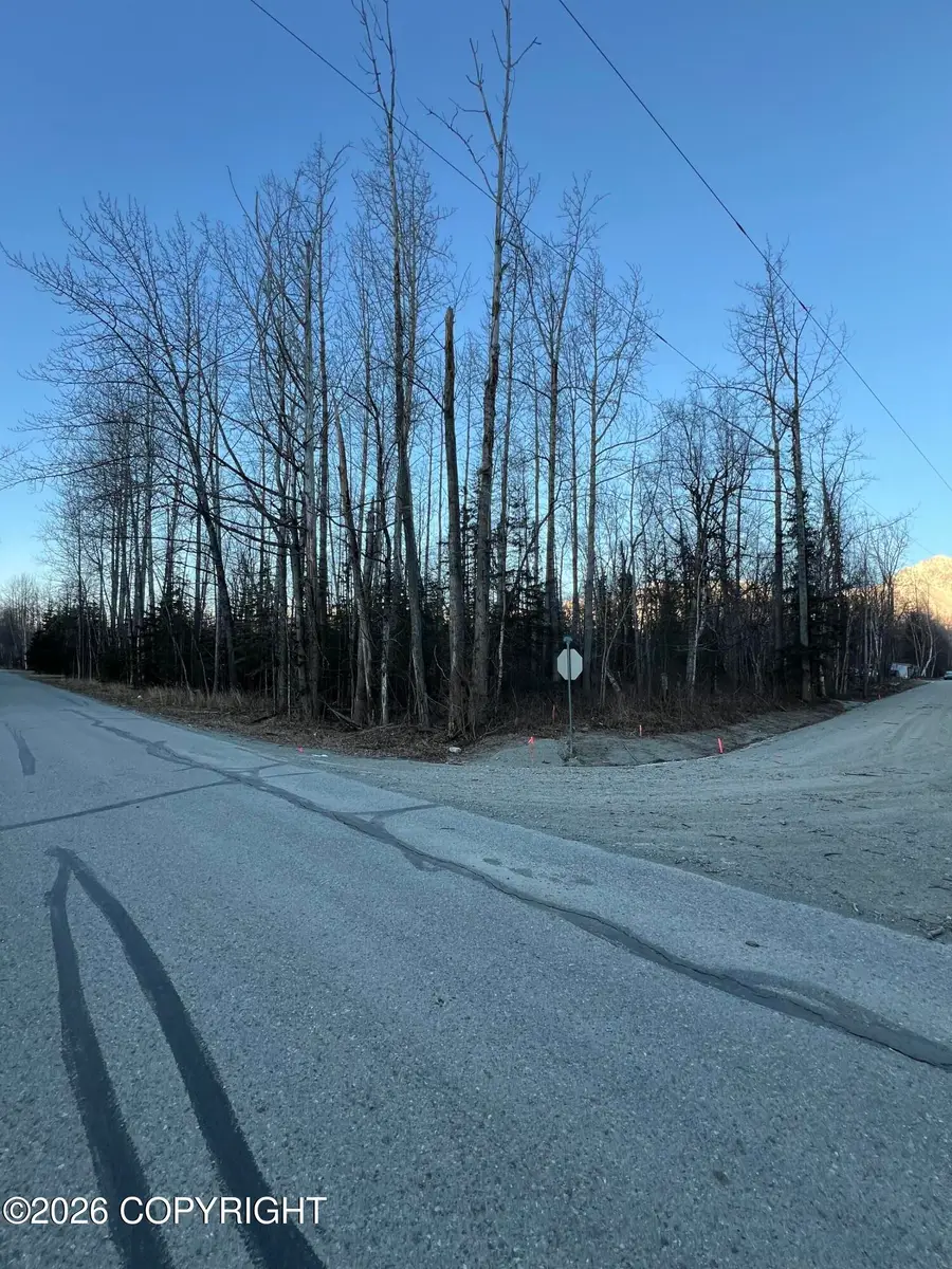 22025 E Mcpherson Avenue, Sutton, AK 99674 - #2