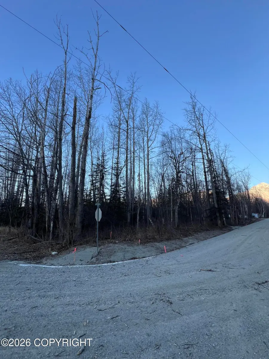 22025 E Mcpherson Avenue, Sutton, AK 99674 - #3