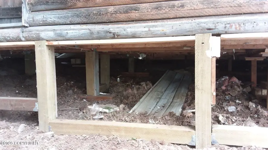 L54 Shell Lake, Skwentna, AK 99667 - #3