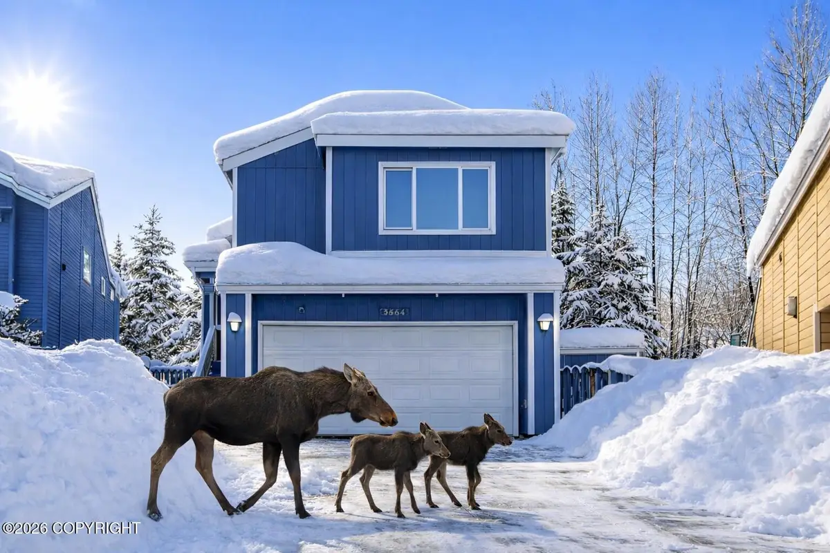 3664 Mirage Circle, Anchorage, AK 99504 - #1
