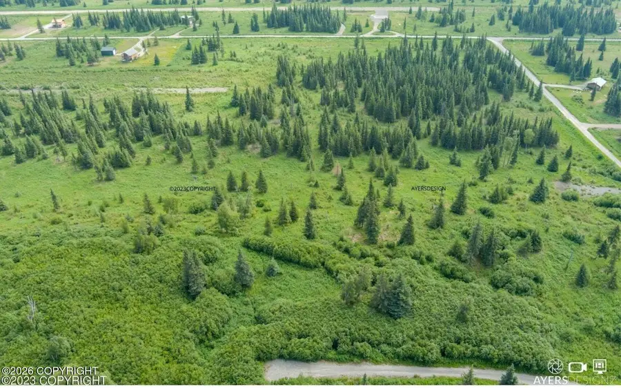 22512 Lowell Street, Ninilchik, AK 99639 - #2