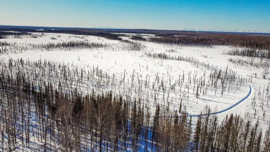 D006 No Road Trail, Talkeetna, AK 99676 - #3