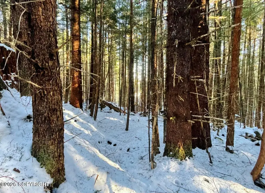 L7 B13 Bayview Drive, Naukati Bay, AK 99950 - #2