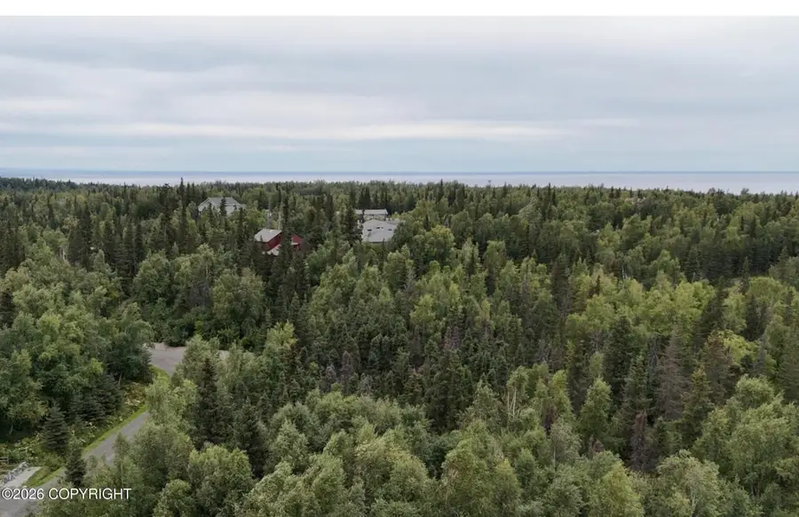000 Von Scheben Drive, Anchorage, AK 99516 - #3