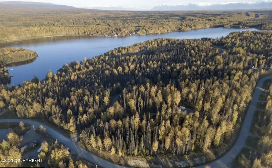 21500 W Amy, Willow, AK 99688 - #3