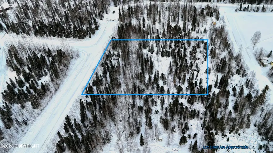 47047 S Hawk Avenue, Willow, AK 99688 - #2
