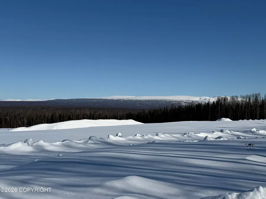 13314 W Gratitude Circle, Houston, AK 99694 - #3