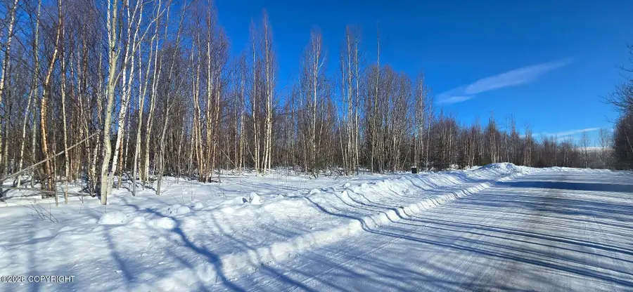 1386 N Knapp Drive, Big Lake, AK 99652 - #2