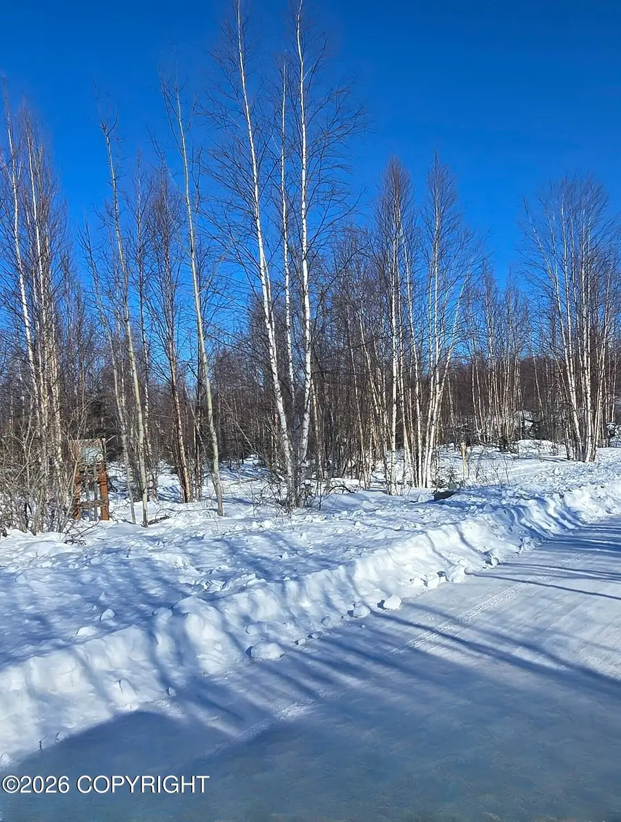 L1 B3 Foxridge, Big Lake, AK 99652 - #2