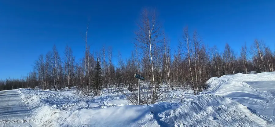 L1 B3 Foxridge, Big Lake, AK 99652 - #3