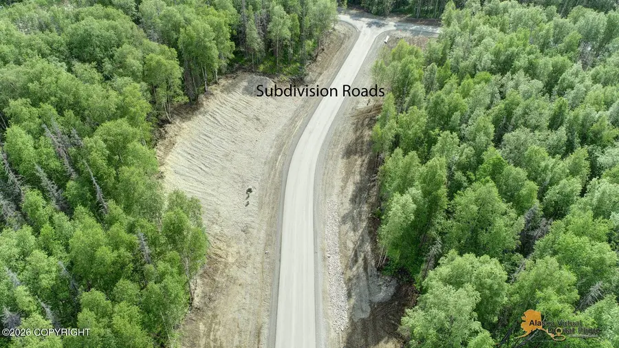L17 B2 N Radiant Dawn Circle, Wasilla, AK 99654 - #2