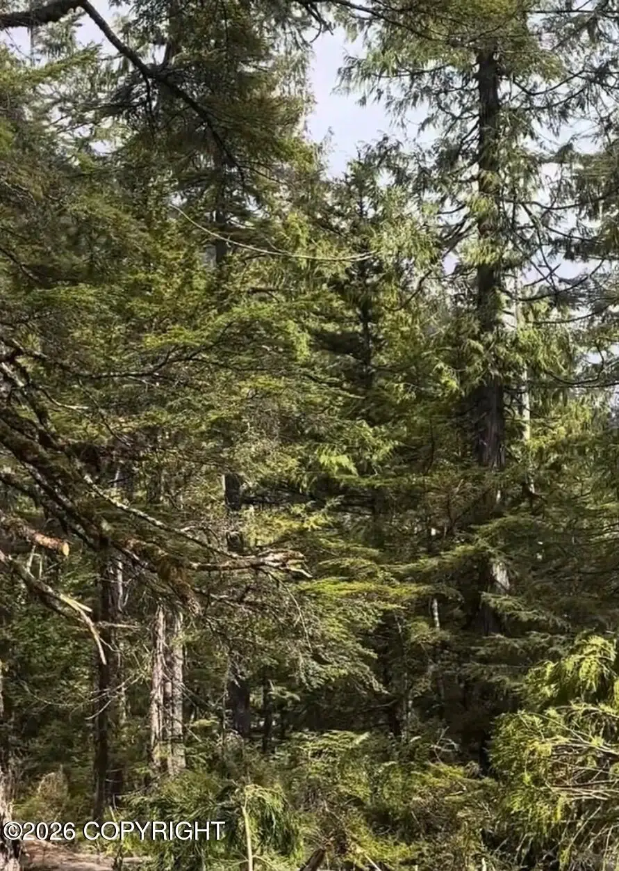 L1 W El Capitan Subdivision, Prince Of Wales, AK 99950 - #1