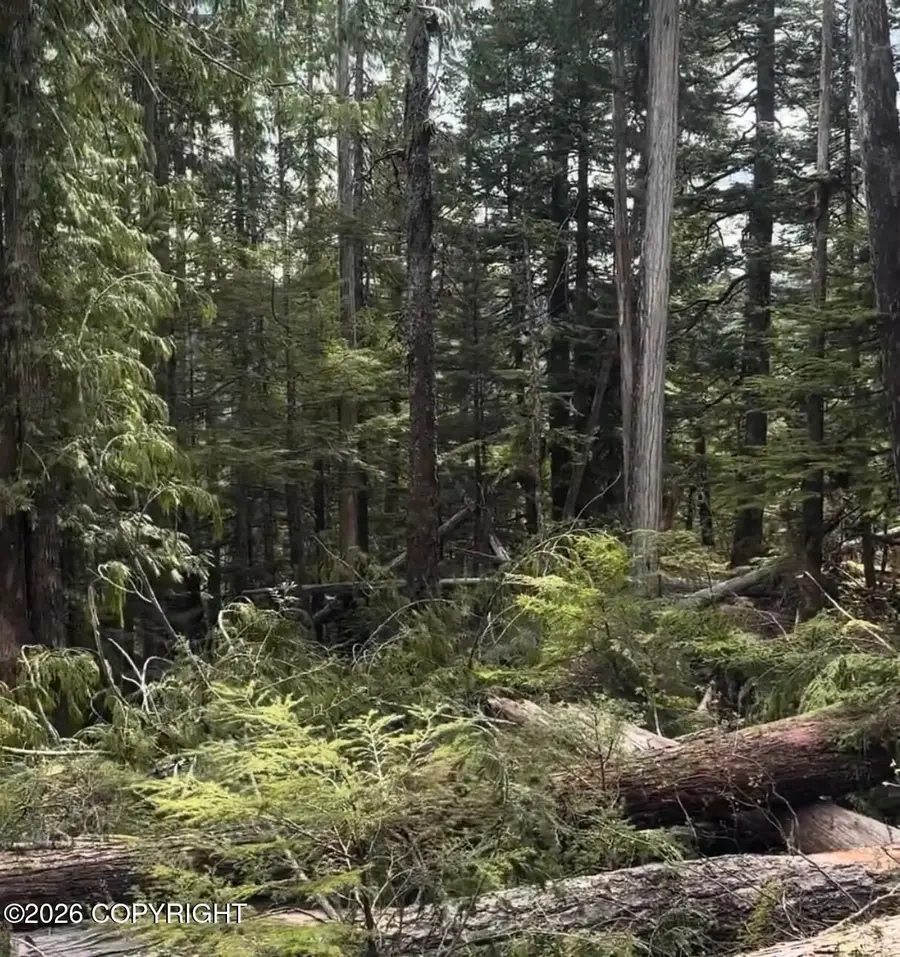 L1 W El Capitan Subdivision, Prince Of Wales, AK 99950 - #3