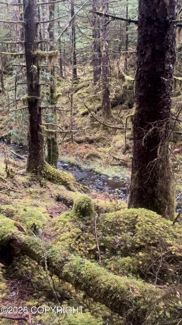 L7 B2 Coffman Loop, Coffman Cove, AK 99918