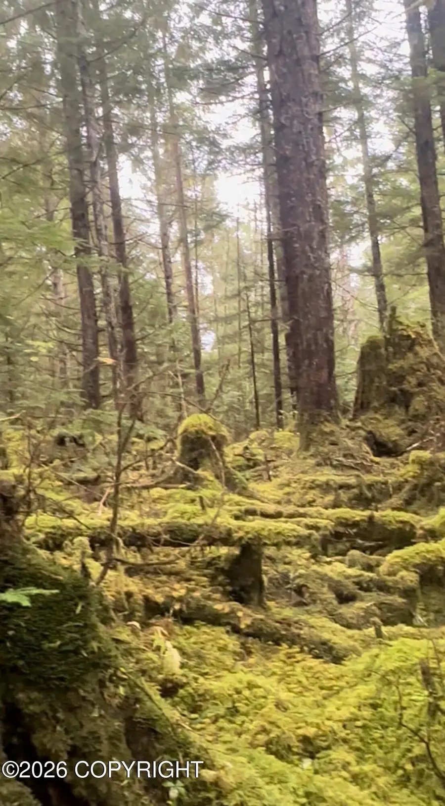 L7 B2 Coffman Loop, Coffman Cove, AK 99918 - #3