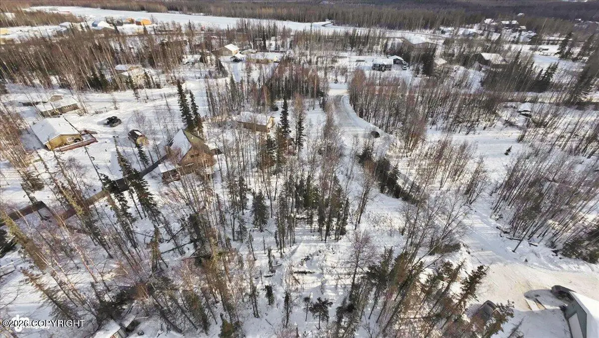 3951 S France Court, Big Lake, AK 99652 - #1