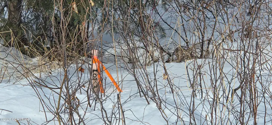 17219 W Kendall Circle, Big Lake, AK 99652 - #2