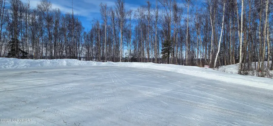 17219 W Kendall Circle, Big Lake, AK 99652 - #3