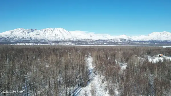 L10-11 Chulitna Trail, Remote, AK 99683