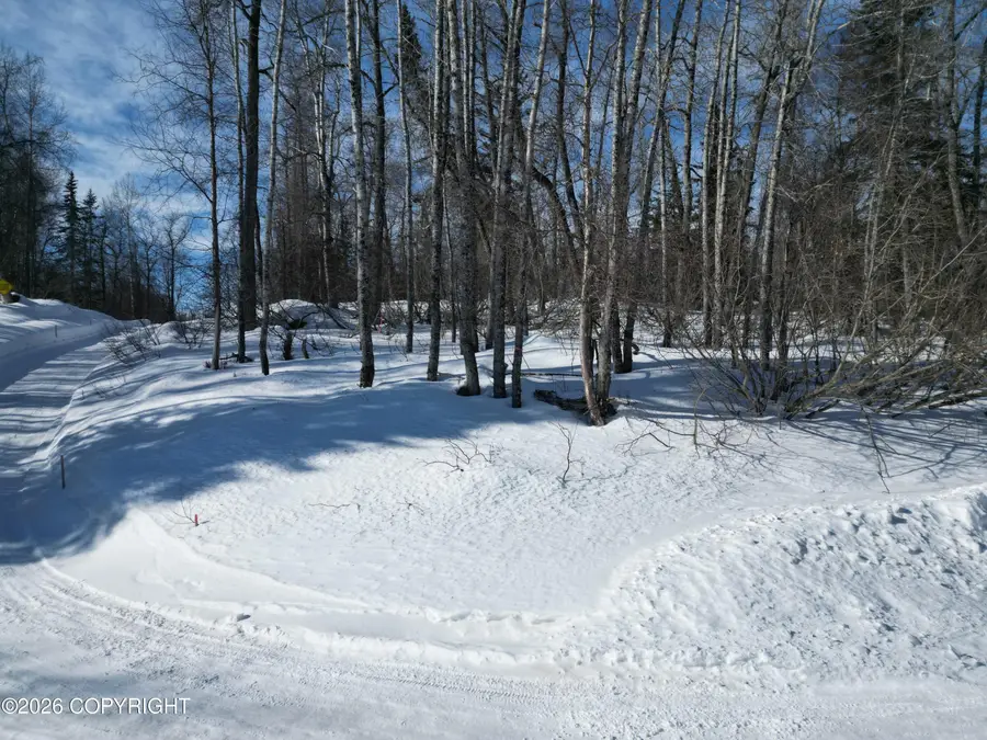 Lot 9 Horner Road, Nikiski, AK 99635 - #3