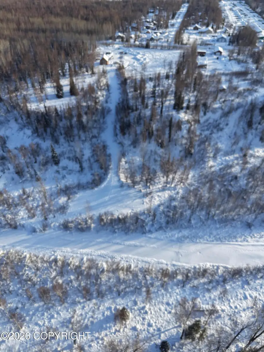 29443 W Deshka Landing Road, Willow, AK 99688 - #2