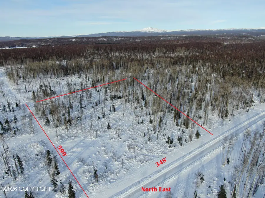 17749 E Yeldarb Avenue, Talkeetna, AK 99676 - #2