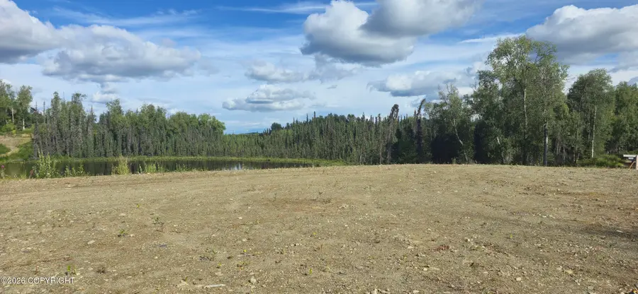 3994 S Arrowhead Street, Big Lake, AK 99623 - #2