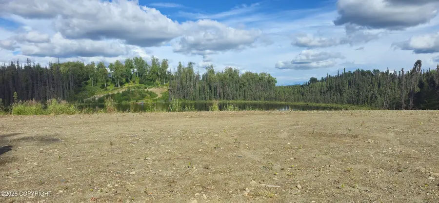 3994 S Arrowhead Street, Big Lake, AK 99623 - #3