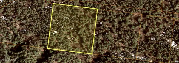 L1-1 B2 Chase 2, Talkeetna, AK 99676