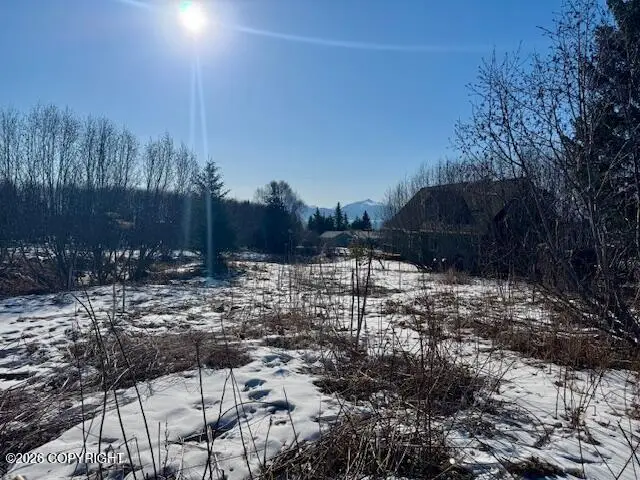 3884 Forest Glen Drive, Homer, AK 99603 - #2