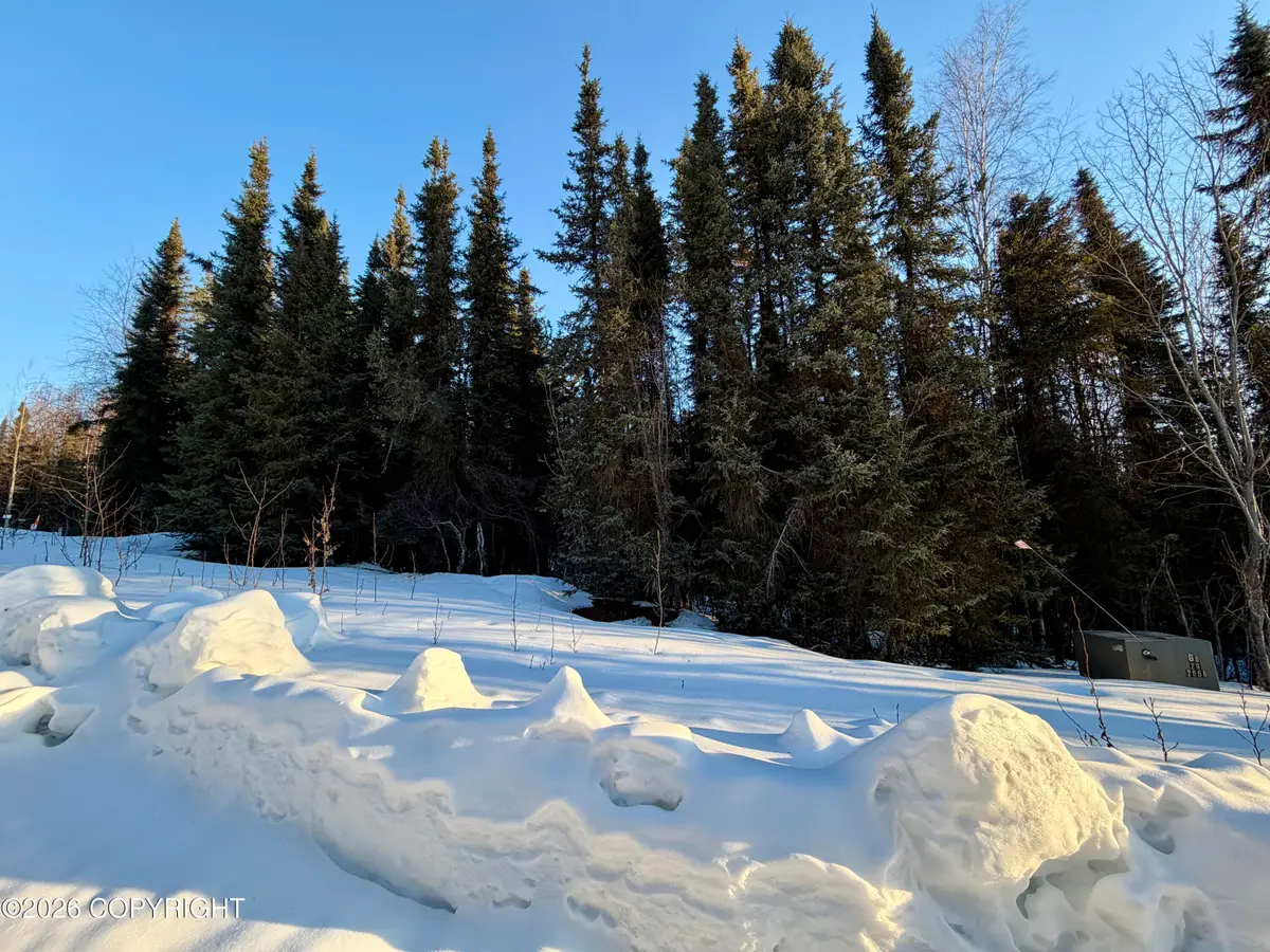 32664 Strauss Court, Soldotna, AK 99669 - #1