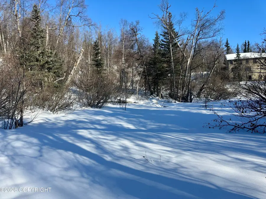 11 Unknown Street, Eagle River, AK 99577 - #2