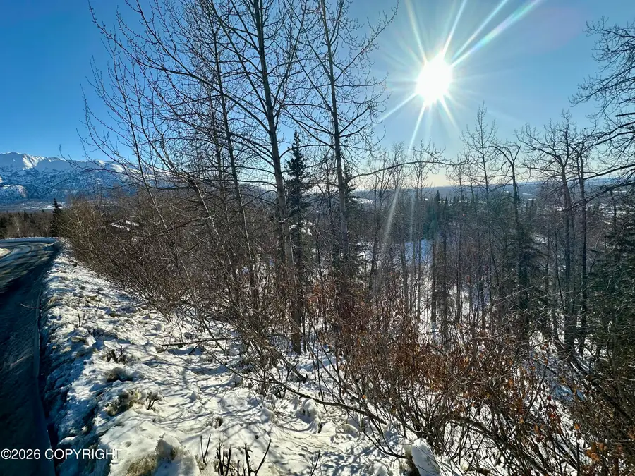 11 Unknown Street, Eagle River, AK 99577 - #3