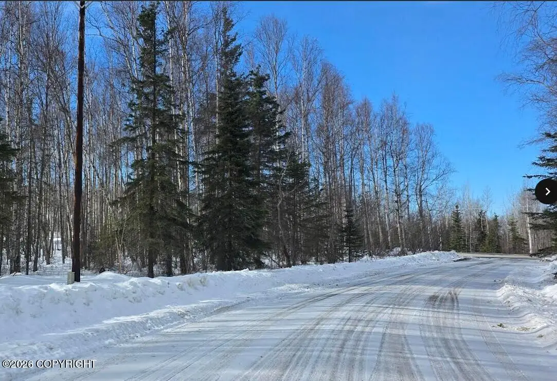 L1 S Roseberry Loop, Wasilla, AK 99654 - #1