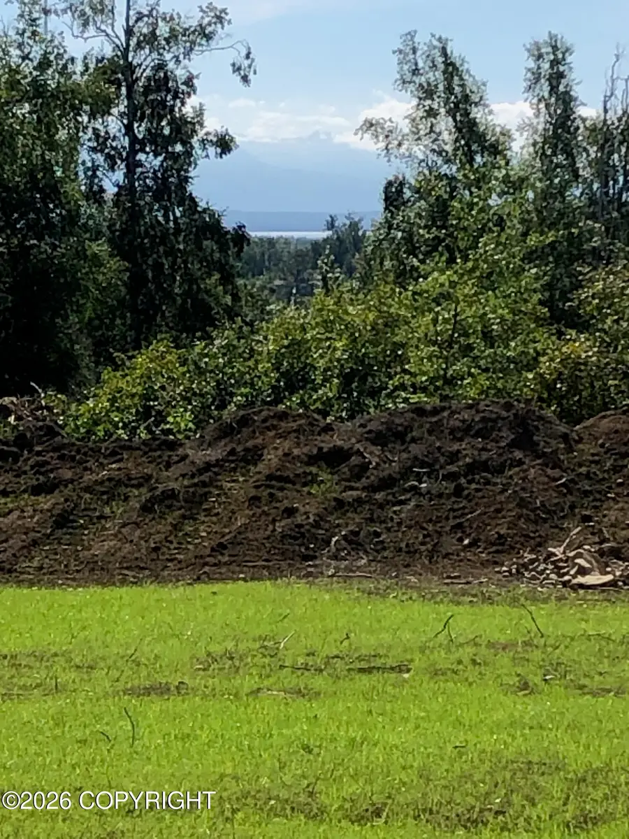 17562 W Bluebill Avenue, Wasilla, AK 99623 - #3