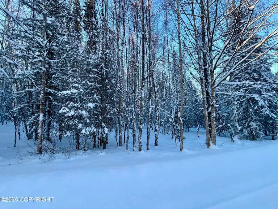 Tr5 Shay Lynn Circle, Soldotna, AK 99669 - Image #2