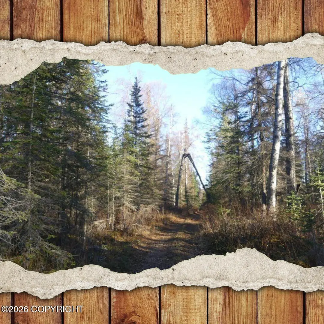 47422 Humpy Avenue, Kenai Cook Inlet, AK 99611 - #1