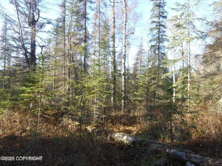 47422 Humpy Avenue, Kenai Cook Inlet, AK 99611 - #2