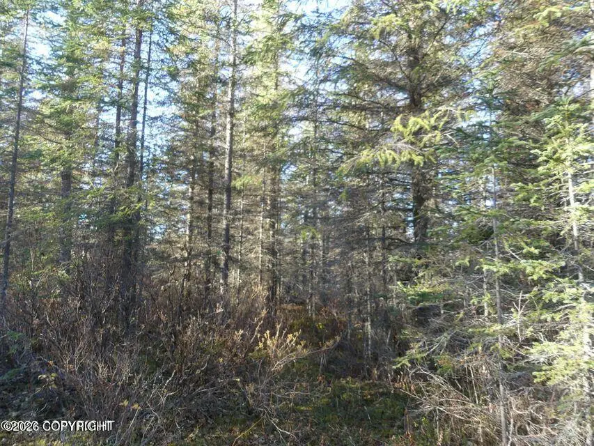 47422 Humpy Avenue, Kenai Cook Inlet, AK 99611 - #3