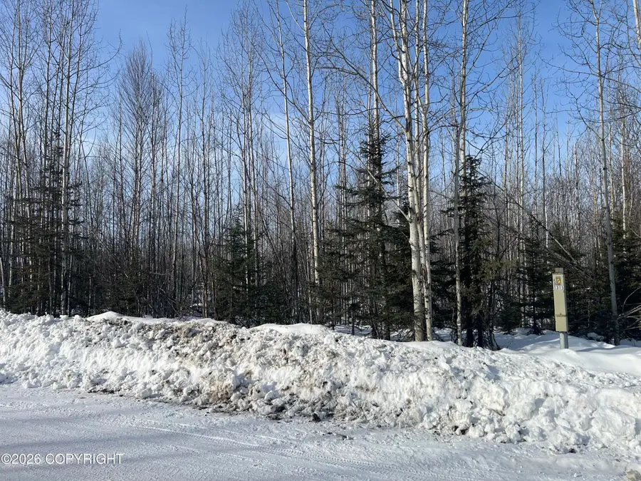 14215 W Masonic Court, Big Lake, AK 99652 - #2