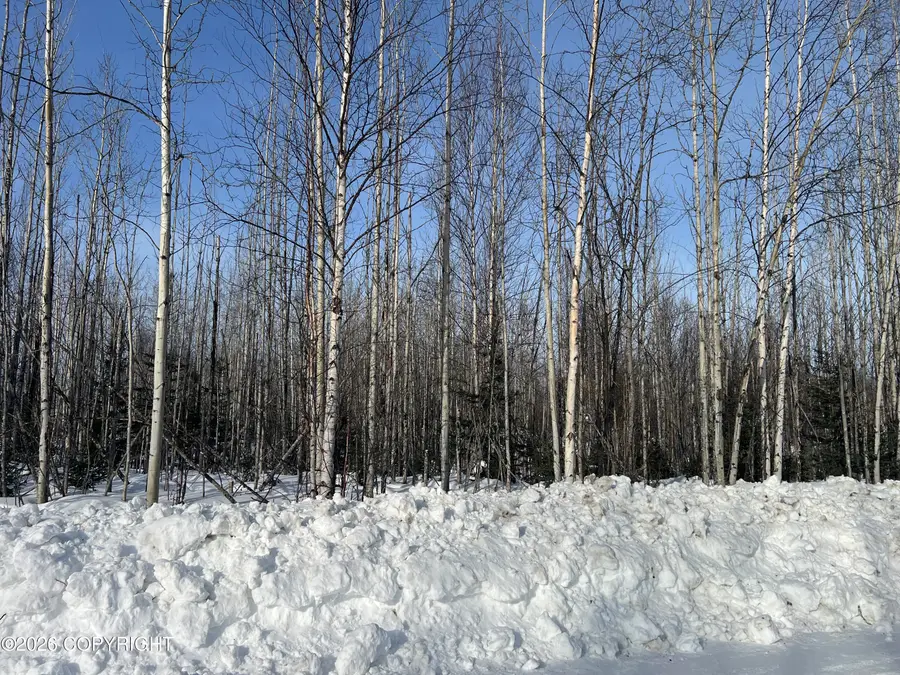 14215 W Masonic Court, Big Lake, AK 99652 - #3