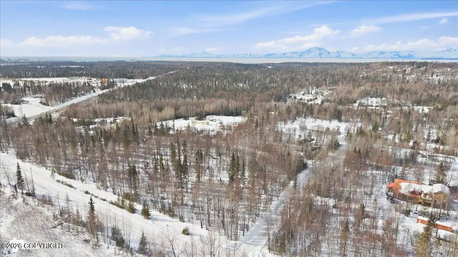 L1 B1 Field Drive, Nikiski, AK 99635 - #3